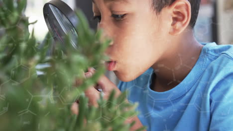 examining plants with magnifying glass, child observing nature, scientific animation over