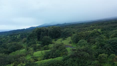 Low-rising-aerial-shot-of-the-dense-rainforest-along-the-Road-to-Hana-coastal-highway-in-Maui,-Hawai'i