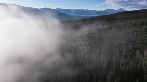 Direkter-Flug-In-Eine-Atmosphärische-Nebelwolke-Am-Frühen-Morgen,-Colorado-Kiefernwald,-Luftwagen