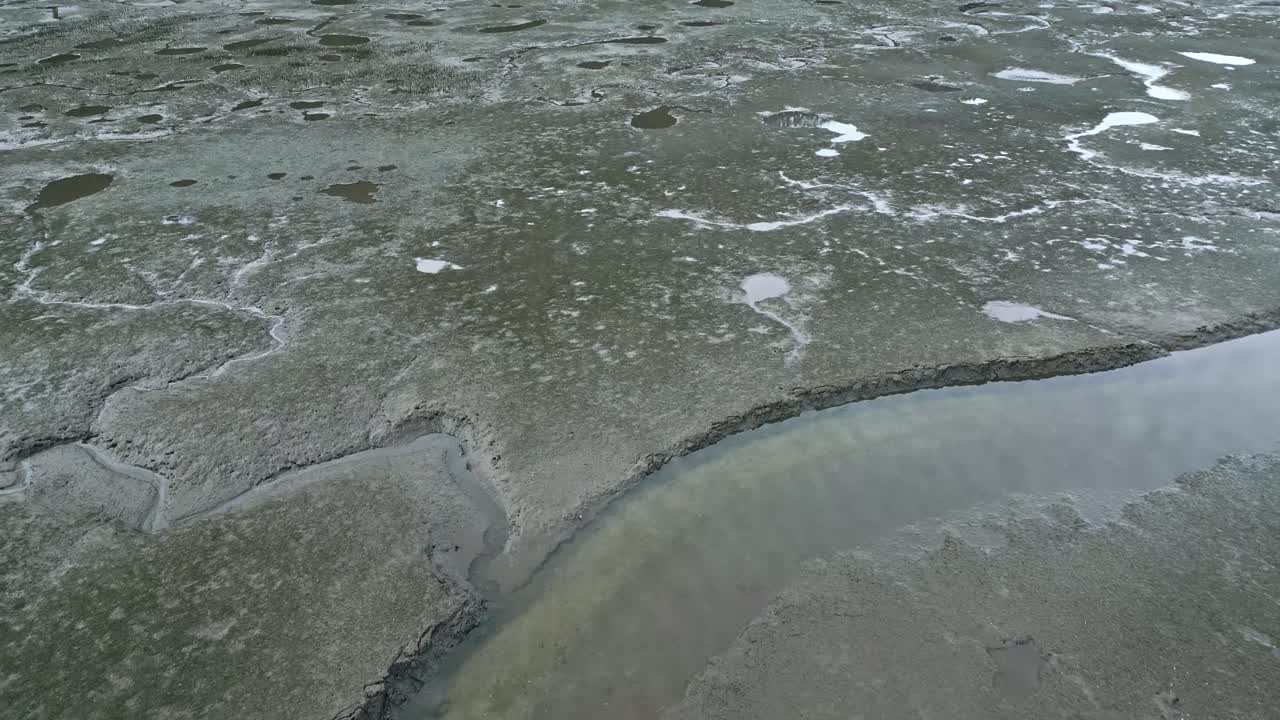 воздушный вид речных устьев среди зеленых лесов в водно-болотных угодьях