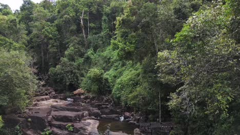 Keine-Menschen-Im-Dichten-Regenwalddschungel-Mit-Seewasserfall