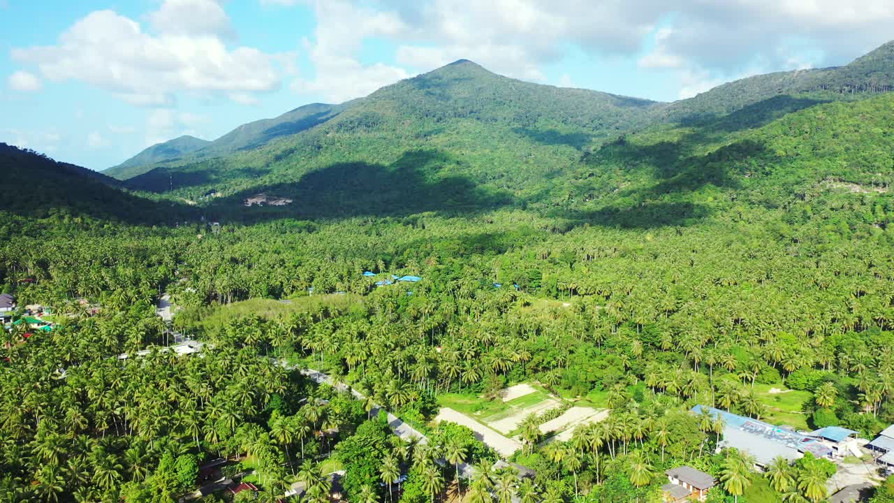 Aerial landscape. Flying over the tropical rainforest and palm plantation approaching mountain peaks on tropical island in sunny summer day. French Polynesia