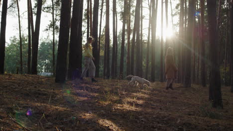 a woman with her daughter and a dog walk through the autumn forest at sunset