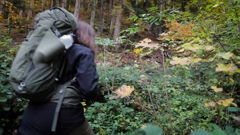 mujer caminante con mochila caminando fuera del sendero a través del follaje del bosque cubierto