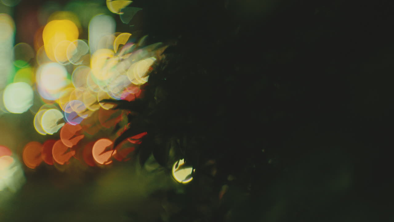 el follaje reveló un atasco de tráfico desenfocado sobre las calles nocturnas de la ciudad.