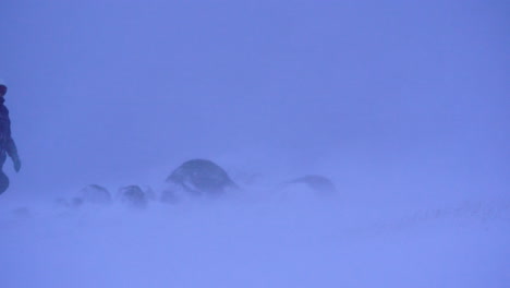 person walking in slowmo through heavy snowstorm