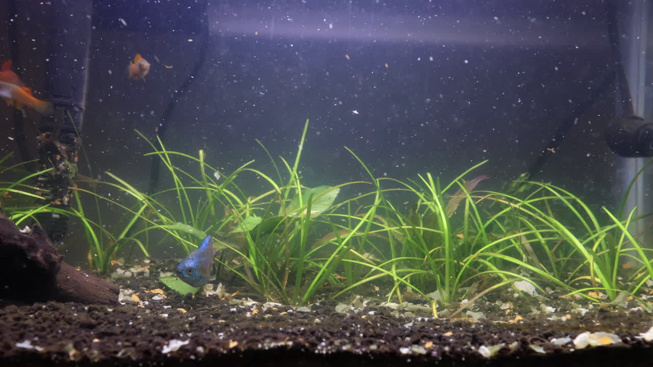 활어 탱크 과잉 공급 4k