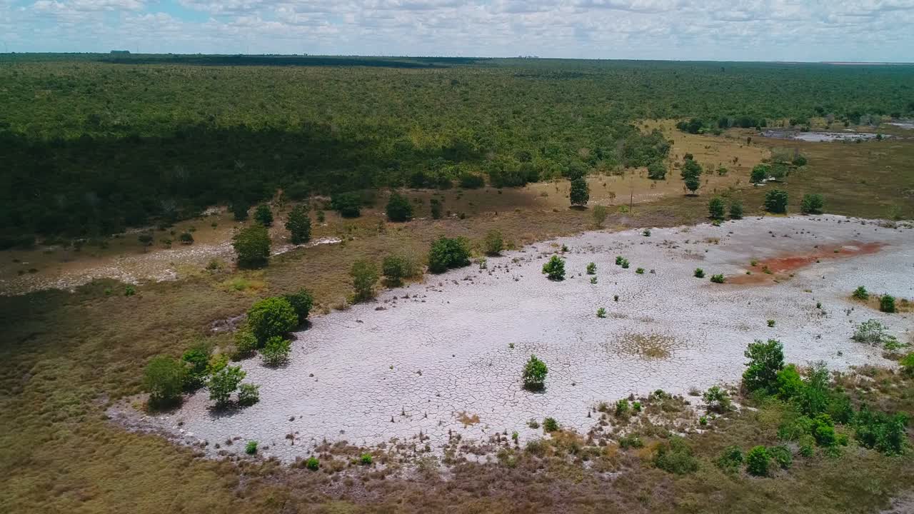 Un drone individua un sito di ripristino del Cerrado: ampio alluvio chiaro esposto con una rada ricrescita di vegetazione piantumata che si sta sviluppando sul terreno, fiancheggiato dai margini della foresta a galleria ripariale