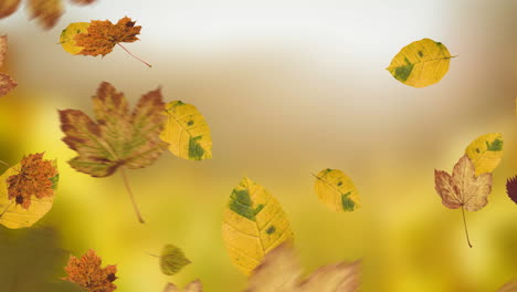 animación de las hojas que caen sobre el paisaje de colores de otoño
