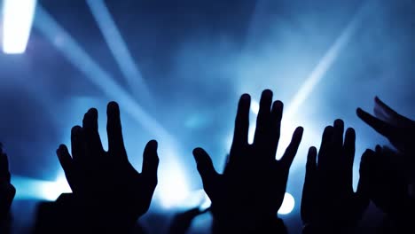 audience members raise their hands in excitement during a lively concert, creating a vibrant atmosphere filled with energy