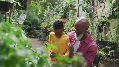 happy senior african american man with his grandson looking at plants and using tablet in garden