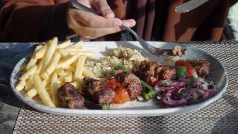 delicious turkish kebab meal with fries and rice