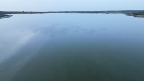 Birds-flying-over-calm-lake
