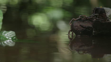 Ziehen-Sie-Den-Fokus-Auf-Die-Alte-Kette,-Die-Zum-Festmachen-Von-Booten-Am-Amazonas-Verwendet-Wird