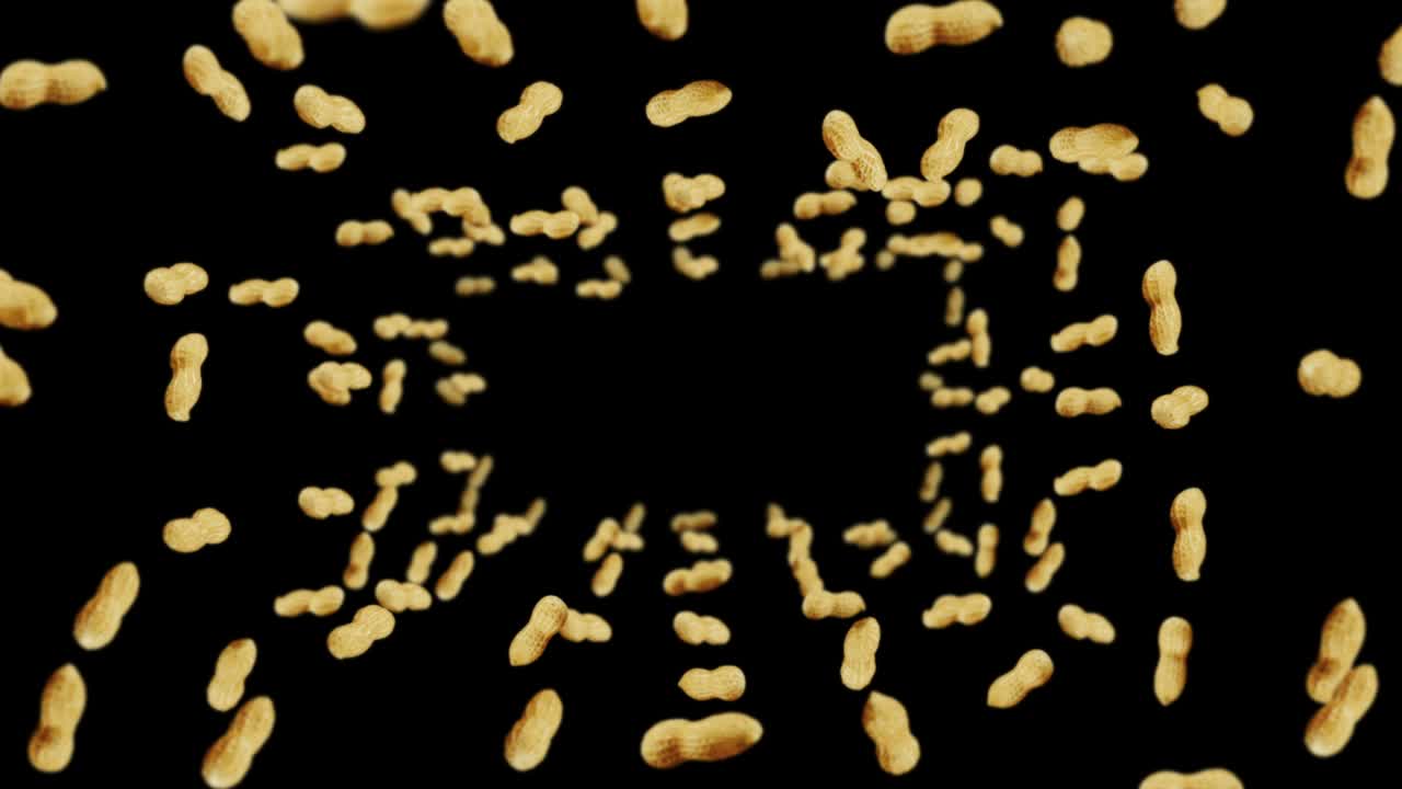 volando muchos cacahuetes en fondo negro. cacahuetes crudos. cacahuete en conchas. alimentos orgánicos saludables. animación de bucle 3d de la rotación de semillas.