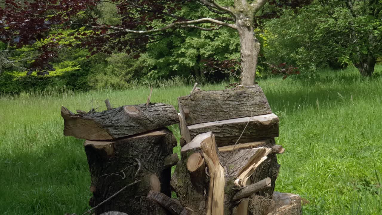 당당한 집 정원에서의 하루