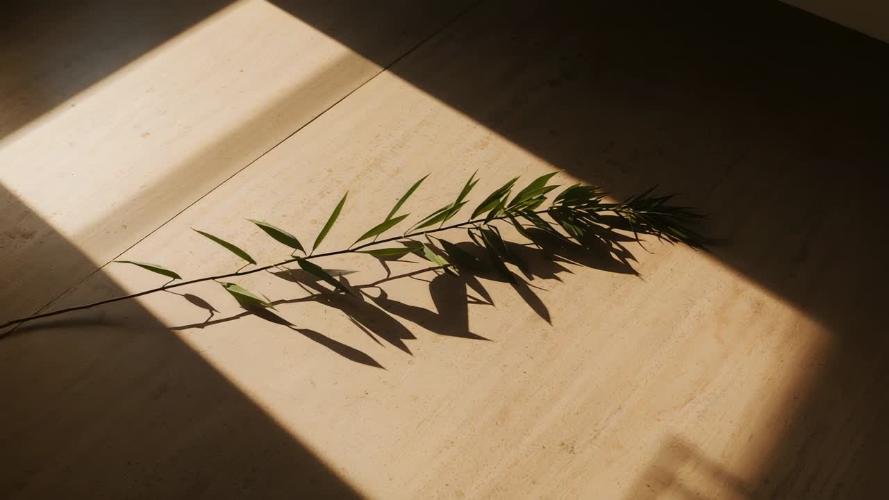 Luce solare che si sposta sul pavimento, lungo ramo frondoso che proietta ombre di foglie in movimento per l'arredamento d'interni