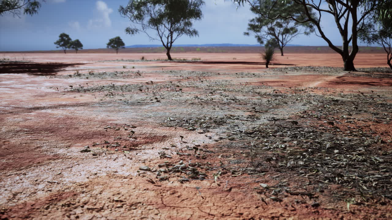 arena agrietada en el verano con el sol