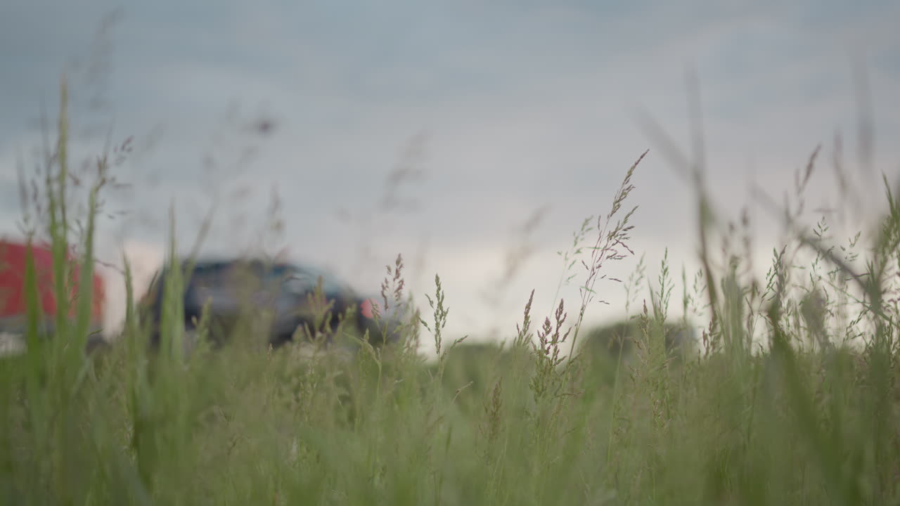 Tall blades of wild grass sway gently in foreground as breeze flows through open field, blurred silhouettes of parked cars rest quietly in distance under calm, cloudy sky