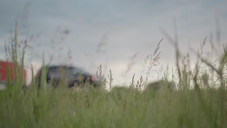 tall blades of wild grass sway gently in foreground as breeze flows through open field, blurred silhouettes of parked cars rest quietly in distance under calm, cloudy sky