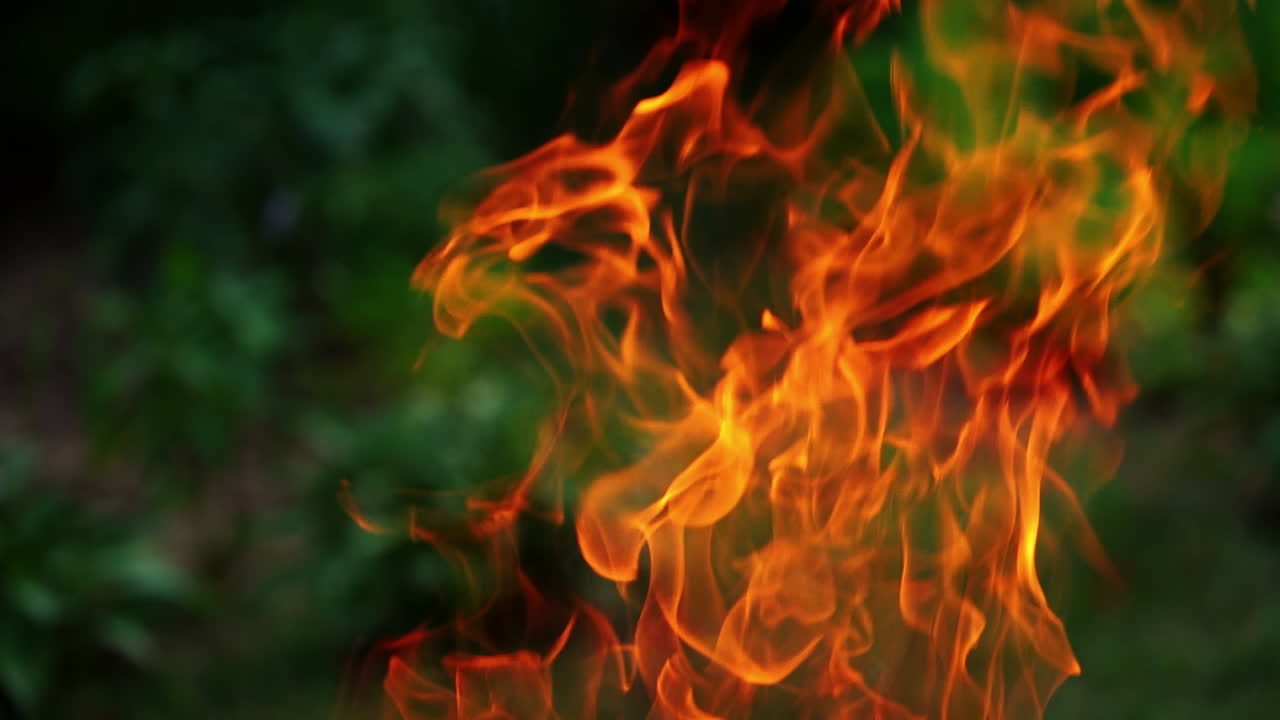 Fire flame on blur nature background. Motion of vivid fire tongues. Beautiful orange flame of fire. Slow motion.