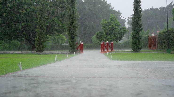 Garden during rainy day. Slow-motion