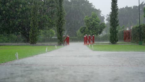 garden during rainy day. slow-motion