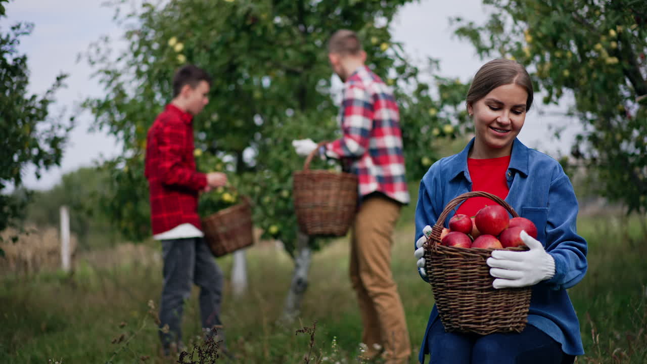 Beautiful Caucasian lady sits holding a basket filled with freshly picked ripe red apples. Woman is very satisfied with gathered apple crop. Man and boy collecting apples at backdrop in blur.