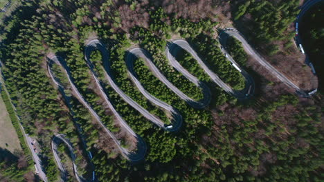 aerial view of the vehicles swerving at the bratocea pass amidst the lush forest in romania