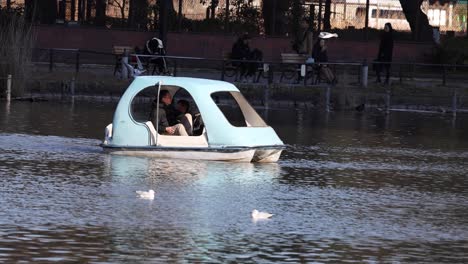 people enjoying a pedal boat ride on water