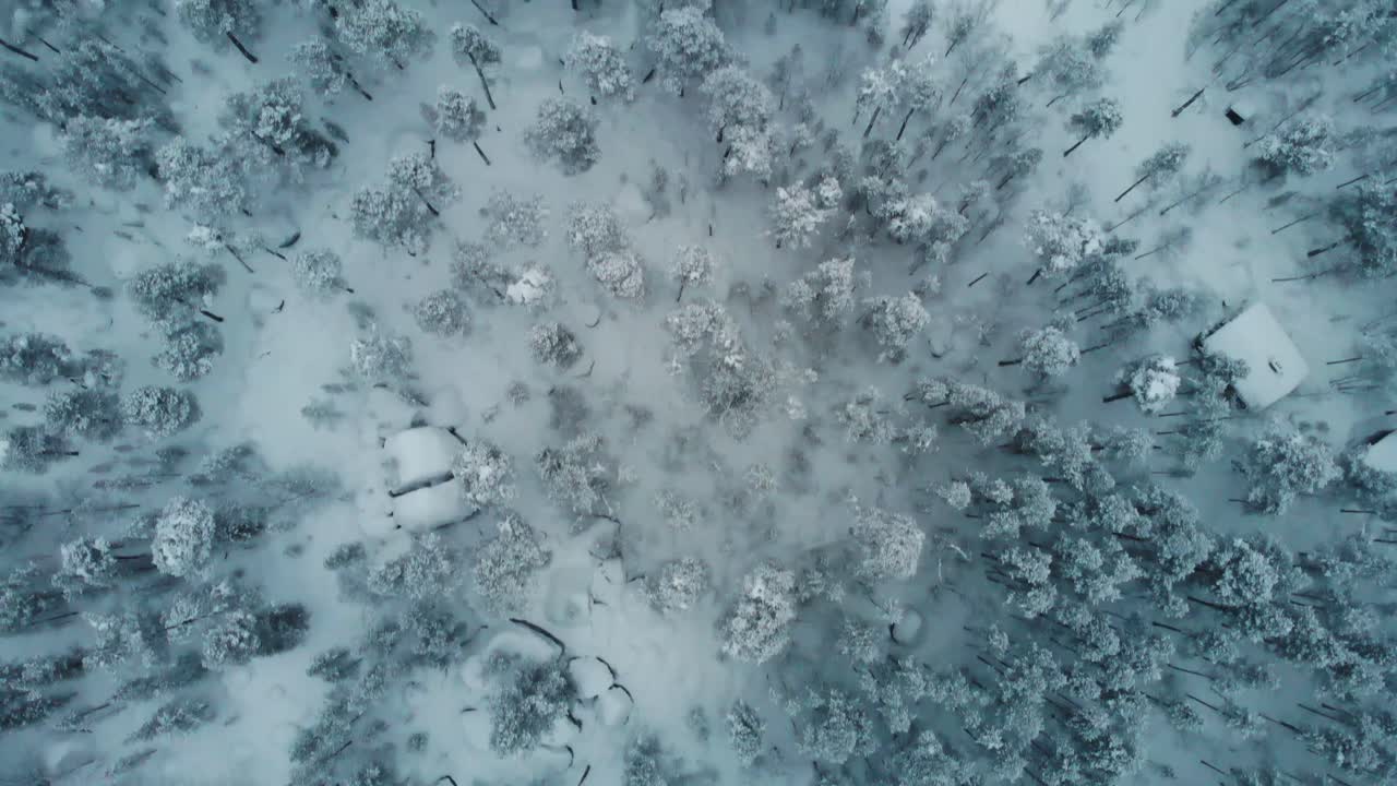 Scots Pine Treetops Thickly Covered With Snow At Lapland National Park In Finland. - Aerial Topdown Shot