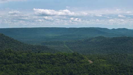impressive representation of the beauty and vastness of the forest