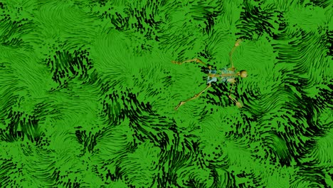 skeleton swimming on water - green grass