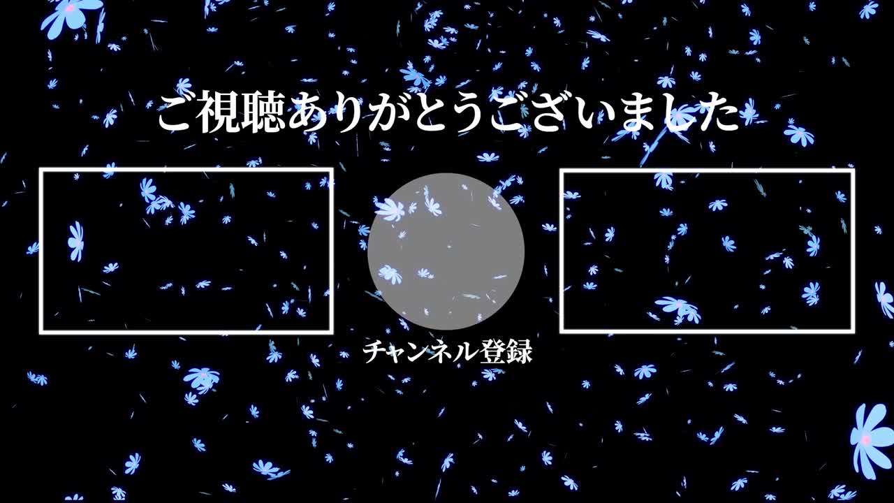 코스모스 꽃 입자 일본어 엔드 카드 모션 그래픽