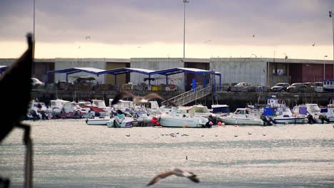 Industrial-little-port-at-sunset-with-ships-docked-and-seagulls-flying-in-slow-motion