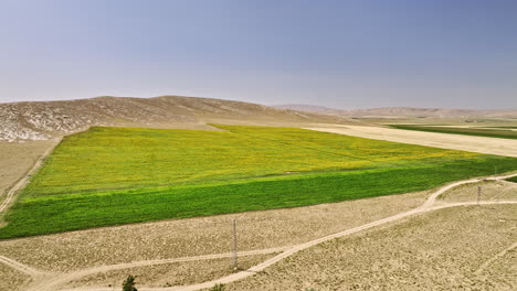 Provincia-De-Konya,-Turquía,-Antena-V1,-Sobrevuelo-De-Drones-De-Bajo-Nivel,-Tierras-De-Cultivo-De-Karadona-Que-Capturan-Campos-De-Girasoles-Florecientes-Y-Paisajes-Esteparios-En-La-Temporada-Seca-De-Verano---Rodada-Con-Mavic-3-Cine---Julio-De-2022