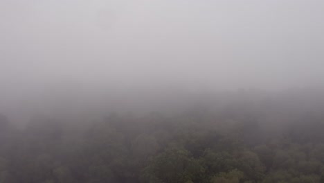 Aerial-drone-shot-above-trees-tracking-into-mist