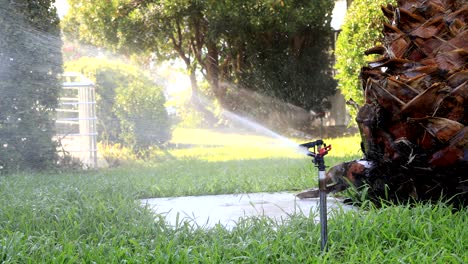 garden sprinkler during watering the green lawn on a sunny summer day