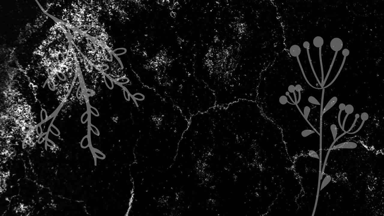 검은색 배경에 회색 식물 위에  번개가 박이는 애니메이션