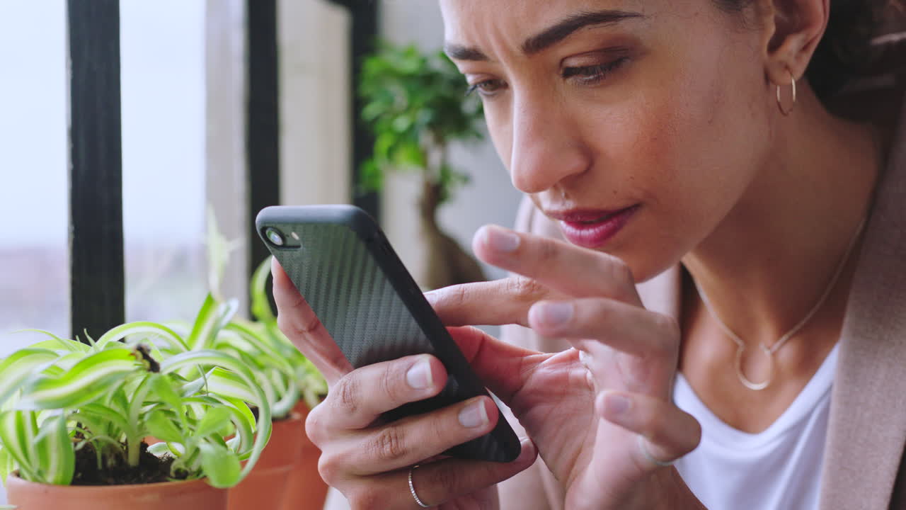 insecto de hoja, foto de teléfono y crecimiento de plantas de oficina