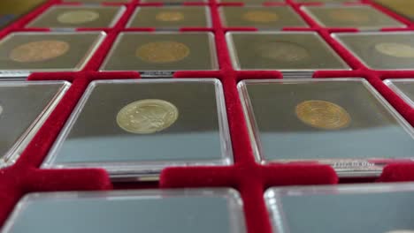 coin collector. collection of certified coins