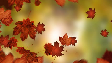 animación de hojas que caen sobre el paisaje de otoño