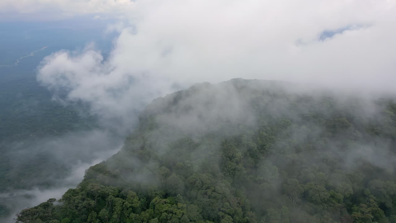 Drone orbit of a jungle covered peak