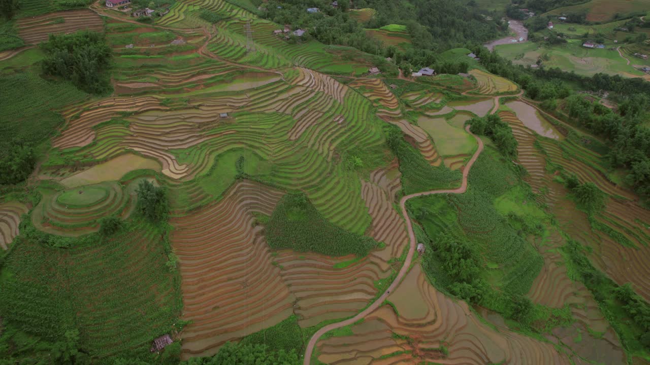 Aerial View of Stunning Rice Terraces in Vietnam