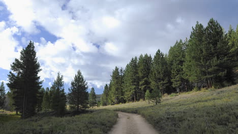 Lapso-De-Tiempo-De-Nubes-Moviéndose-Sobre-Un-Bosque-Y-Camino-De-Tierra-En-El-Bosque-Nacional-Sequoia-Cerca-De-Kernville-California