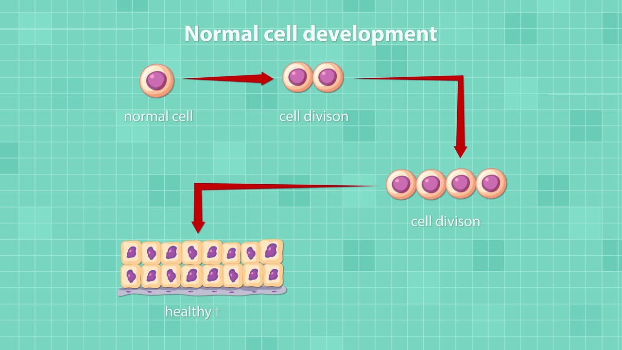 Animated sequence of labeled cell division forming healthy tissue on a teal grid background