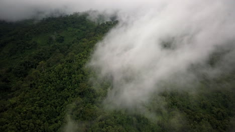 concepto logístico vista aérea de la carretera rural que pasa por la serena y exuberante vegetación y el follaje del bosque tropical lluvioso paisaje montañoso