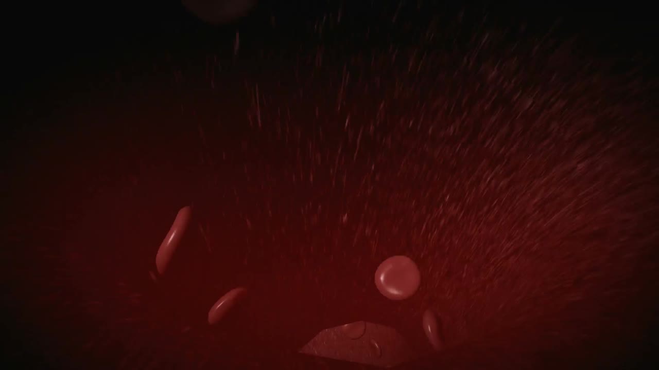 정맥을 가로질러 흐르는 혈액