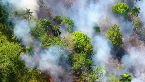 Aerial-view-of-a-wildfire-burning-and-smoking,-deforestation-in-the-tropical-forests-of-Mexico,-sunny-day,-in-Central-America---pan,-drone-shot