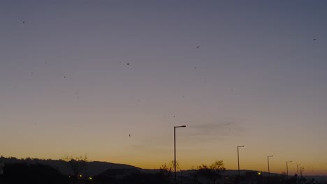 early sunrise above flat land with pastel hues and distant infrastructure silhouette, birds fly in slow motion